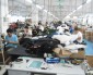 Audit – Sporting Goods Factory